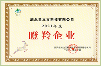 1.1-瞪羚企业.jpg